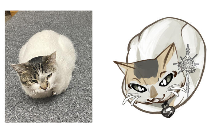 The Cat The Cat